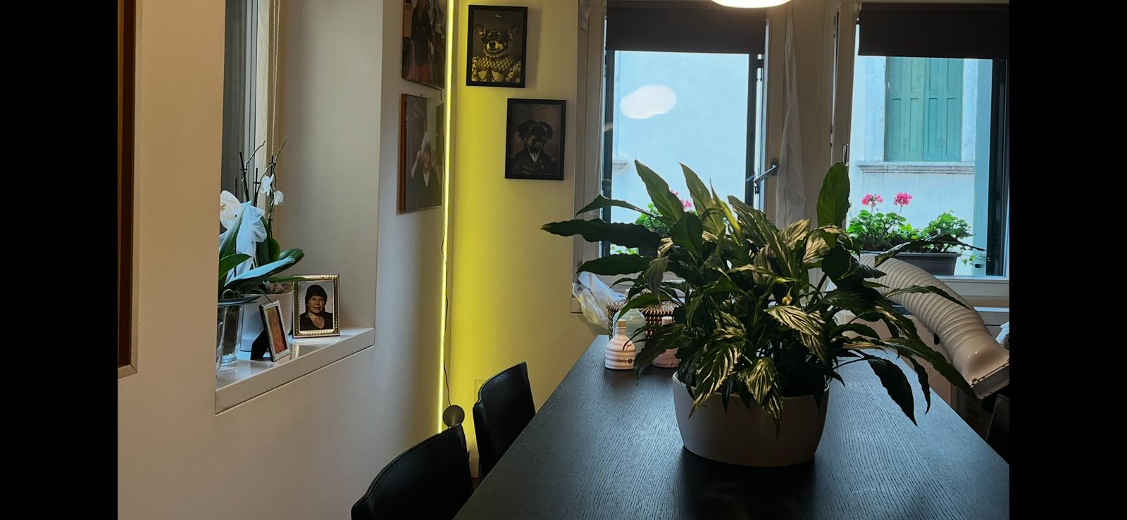 Affittasi appartamento di pregio in centro storico a Belluno (11)