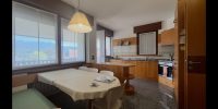 Vendesi in Belluno città su ampia villa appartamento duplex di 307 mq (10)