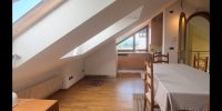 Vendesi in Belluno città su ampia villa appartamento duplex di 307 mq (21)