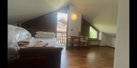 Vendesi in Belluno città su ampia villa appartamento duplex di 307 mq (24)