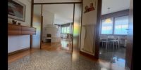 Vendesi in Belluno città su ampia villa appartamento duplex di 307 mq (3)